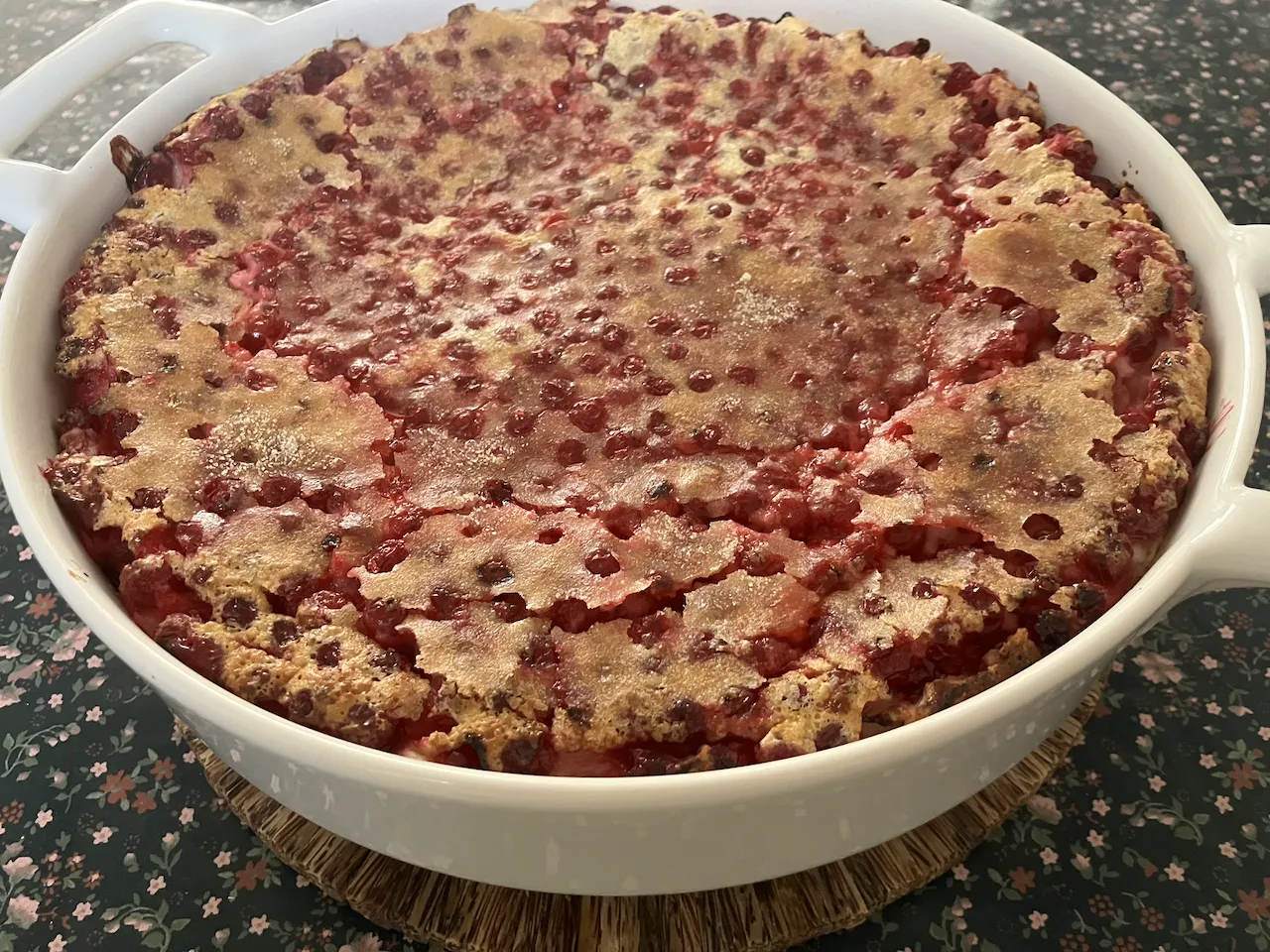 Clafoutis aux groseilles