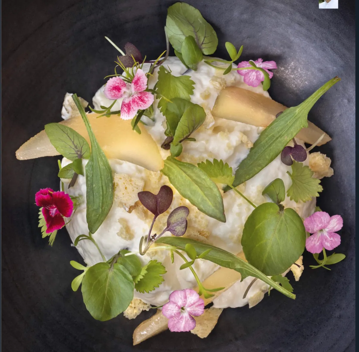 Émulsion de camembert au lait cru, poire au vinaigre de cidre