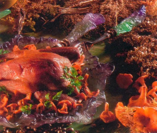 Pigeons aux arômes de café, girolles à l'huile de noix